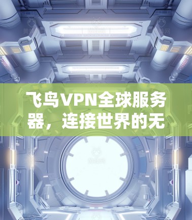飞鸟VPN全球服务器，连接世界的无缝通信