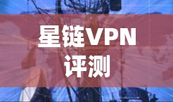 星链VPN评测 星链VPN评测