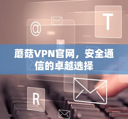 蘑菇VPN官网,安全通信的卓越选择 蘑菇VPN官网,安全通信的卓越选择