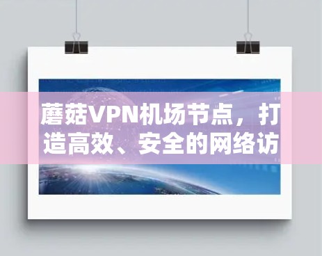 蘑菇VPN机场节点，打造高效、安全的网络访问解决方案