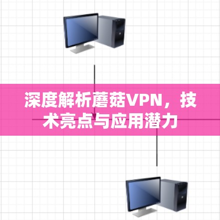 深度解析蘑菇VPN,技术亮点与应用潜力 深度解析蘑菇VPN,技术亮点与应用潜力