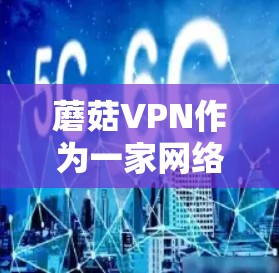 蘑菇VPN作为一家网络安全服务提供商，主要为用户提供高效、安全的网络隧道服务。以下是对蘑菇VPN的一些评测和分析，帮助你更好地了解其功能和性能
