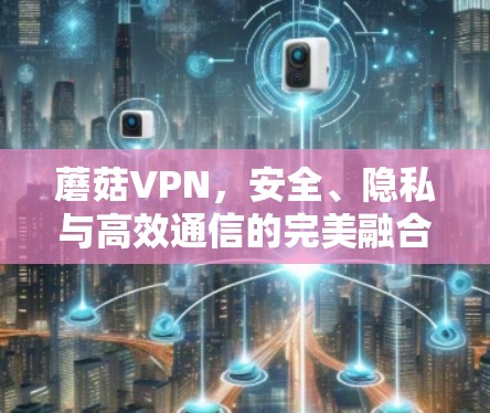 蘑菇VPN，安全、隐私与高效通信的完美融合