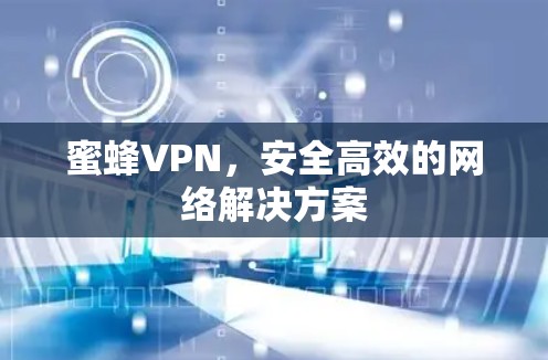 蜜蜂VPN,安全高效的网络解决方案 蜜蜂VPN,安全高效的网络解决方案