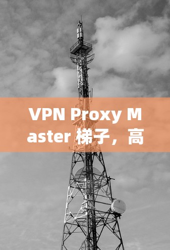 VPN Proxy Master 梯子，高效、安全、灵活的网络解决方案