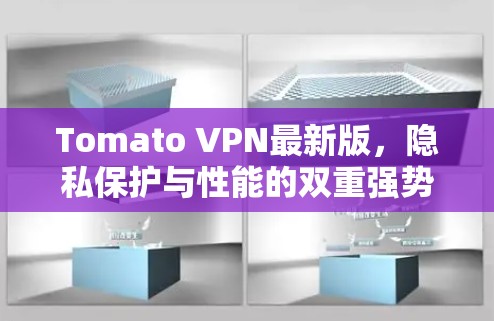 Tomato VPN最新版,隐私保护与性能的双重强势升级 Tomato VPN最新版,隐私保护与性能的双重强势升级