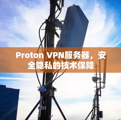 Proton VPN服务器,安全隐私的技术保障