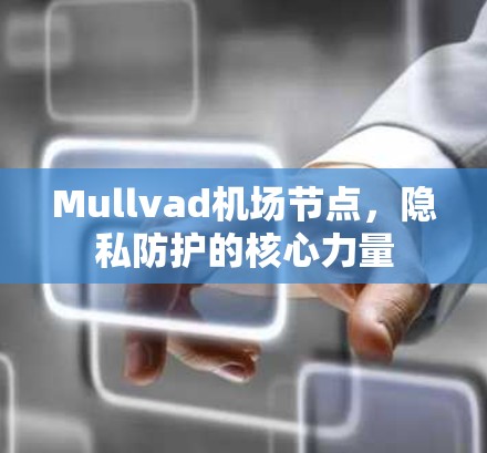 Mullvad机场节点，隐私防护的核心力量