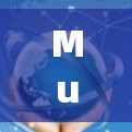Mullvad 提供高质量的 VPN 服务,价格相对较高。以下是一些可能的优惠方式