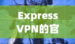 ExpressVPN的官网入口是通过其官方网站访问的。以下是详细的步骤 ExpressVPN的官网入口是通过其官方网站访问的。以下是详细的步骤