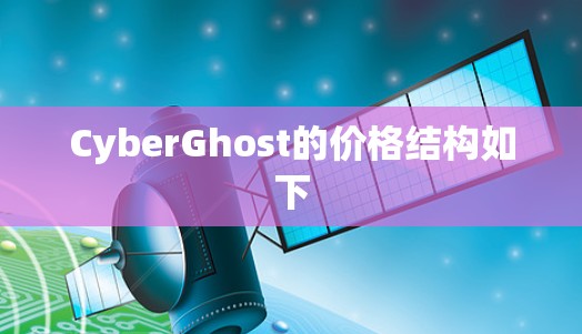 CyberGhost的价格结构如下 CyberGhost的价格结构如下