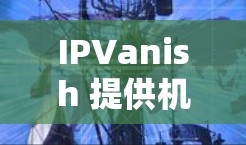 IPVanish 提供机场节点服务,主要用于在公共 Wi-Fi 环境中(如机场、会议中心等)保持高速、安全的互联网连接。以下是关于 IPVanish 机场节点的一些详细信息 IPVanish 提供机场节点服务,主要用于在公共 Wi-Fi 环境中(如机场、会议中心等)保持高速、安全的互联网连接。以下是关于 IPVanish 机场节点的一些详细信息