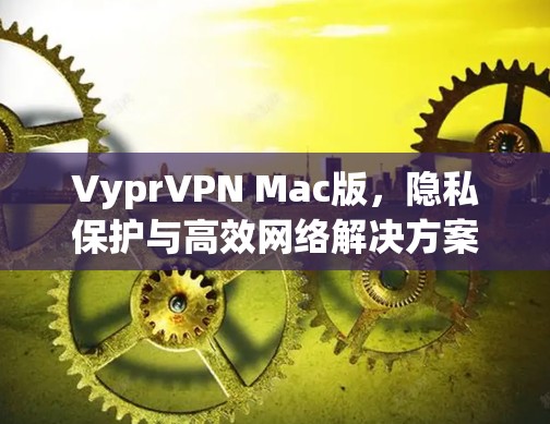 VyprVPN Mac版,隐私保护与高效网络解决方案 VyprVPN Mac版,隐私保护与高效网络解决方案