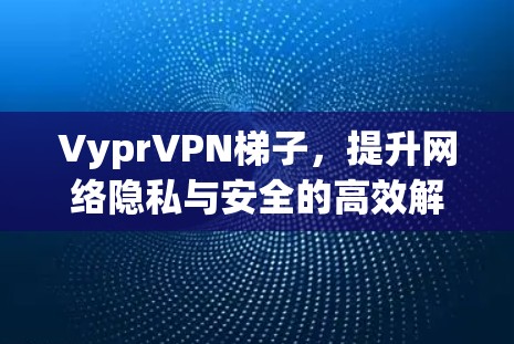 VyprVPN梯子,提升网络隐私与安全的高效解决方案 VyprVPN梯子,提升网络隐私与安全的高效解决方案