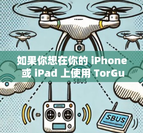 如果你想在你的 iPhone 或 iPad 上使用 TorGuard，通常需要以下步骤
