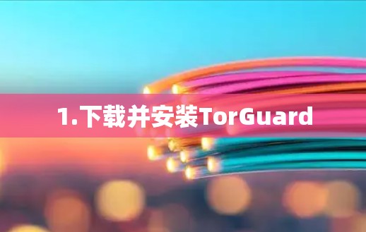 1.下载并安装TorGuard 1.下载并安装TorGuard