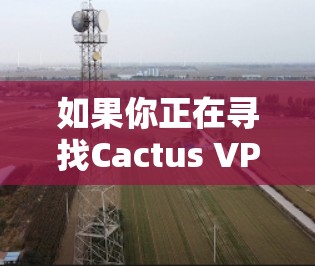 如果你正在寻找Cactus VPN的Mac版,以下是一些建议和可能的解决方法 如果你正在寻找Cactus VPN的Mac版,以下是一些建议和可能的解决方法