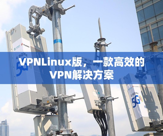 VPNLinux版,一款高效的VPN解决方案 VPNLinux版,一款高效的VPN解决方案