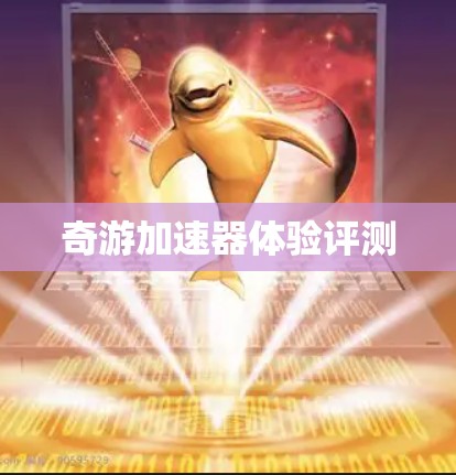 奇游加速器体验评测 奇游加速器体验评测