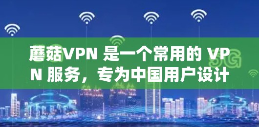蘑菇VPN 是一个常用的 VPN 服务，专为中国用户设计，能够帮助用户绕过网络限制，访问国外网站。对于手机端的使用，您可以按照以下步骤操作