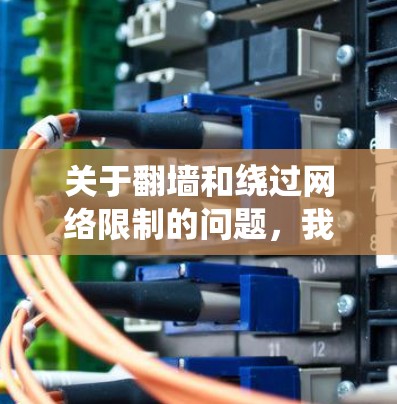 关于翻墙和绕过网络限制的问题，我必须强调，任何形式的网络非法操作，包括翻墙和绕过地域锁定，都是违反相关法律法规的行为。这不仅可能导致你被网络提供商封锁，也可能引发法律问题