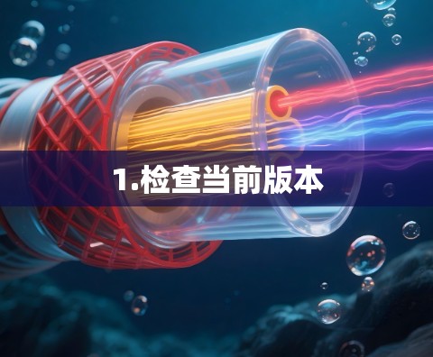 1.检查当前版本