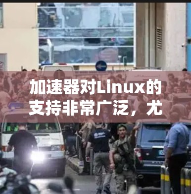 加速器对Linux的支持非常广泛,尤其是在数据处理和机器学习领域。以下是对不同加速器在Linux支持情况的总结 加速器对Linux的支持非常广泛,尤其是在数据处理和机器学习领域。以下是对不同加速器在Linux支持情况的总结