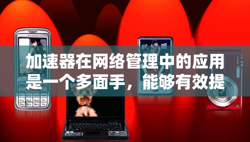 加速器在网络管理中的应用是一个多面手，能够有效提升网络性能和管理效率。以下是对加速器在不同网络管理方面的应用的详细分析