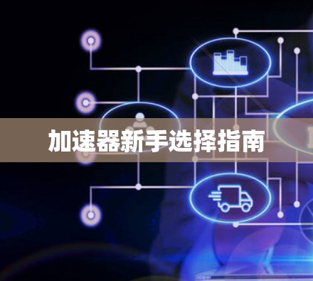 加速器新手选择指南