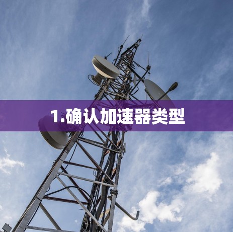 1.确认加速器类型 1.确认加速器类型