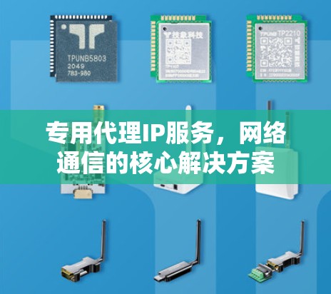 专用代理IP服务,网络通信的核心解决方案 专用代理IP服务,网络通信的核心解决方案