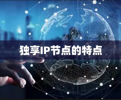 独享IP节点的特点 独享IP节点的特点