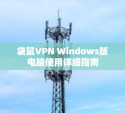 袋鼠VPN Windows版电脑使用详细指南