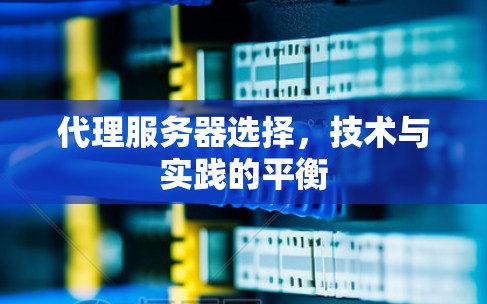 代理服务器选择，技术与实践的平衡