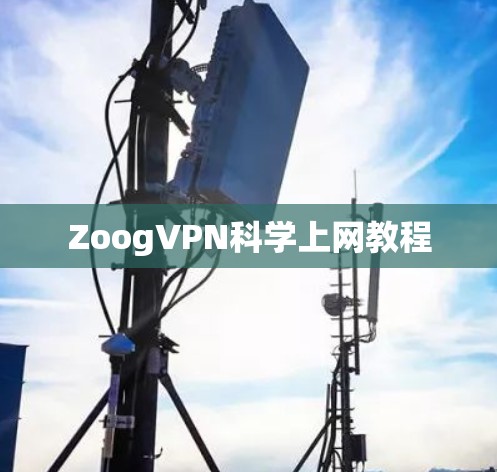ZoogVPN科学上网教程 ZoogVPN科学上网教程