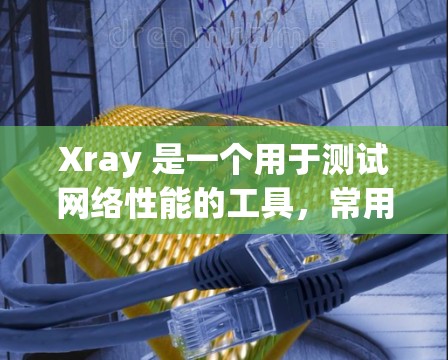 Xray 是一个用于测试网络性能的工具,常用于评估线路的速度和稳定性。以下是使用 Xray 进行速度测试和线路性能评估的步骤 Xray 是一个用于测试网络性能的工具,常用于评估线路的速度和稳定性。以下是使用 Xray 进行速度测试和线路性能评估的步骤
