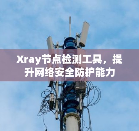 Xray节点检测工具，提升网络安全防护能力