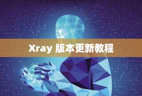 Xray 版本更新教程