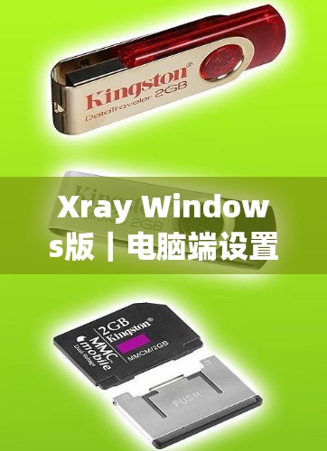 Xray Windows版｜电脑端设置方法