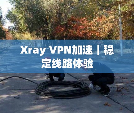 Xray VPN加速｜稳定线路体验