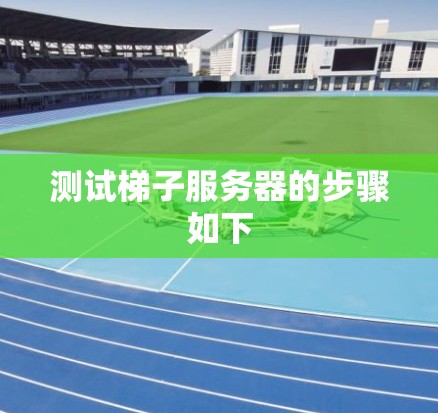 测试梯子服务器的步骤如下 测试梯子服务器的步骤如下