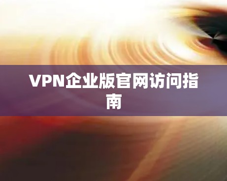 VPN企业版官网访问指南 VPN企业版官网访问指南