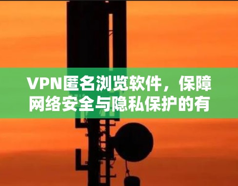 VPN匿名浏览软件,保障网络安全与隐私保护的有效手段 VPN匿名浏览软件,保障网络安全与隐私保护的有效手段